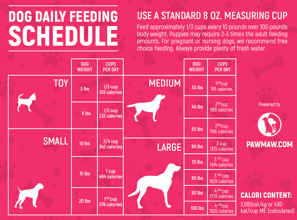 how-much-to-feed-a-dog-by-weight-gegu-pet